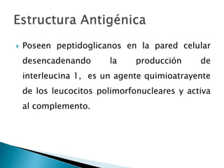  Poseen peptidoglicanos en la pared celular
desencadenando la producción de
interleucina 1, es un agente quimioatrayente
de los leucocitos polimorfonucleares y activa
al complemento.
 