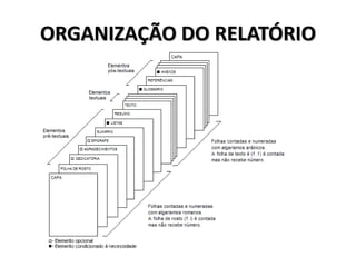 ORGANIZAÇÃO DO RELATÓRIO
 