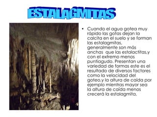 Cuando el agua gotea muy rápido las gotas dejan la calcita en el suelo y se forman las estalagmitas, generalmente son más anchas  que las estalactitas,y con el extremo menos puntiagudo. Presentan una variedad de formas este es el resultado de diversos factores como la velocidad del goteo,y la altura de caída por ejemplo mientras mayor sea la altura de caída menos crecerá la estalagmita. ESTALAGMITAS 