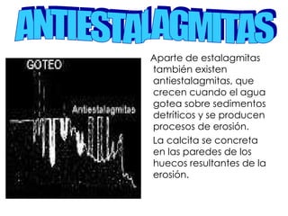 Aparte de estalagmitas también existen antiestalagmitas, que crecen cuando el agua gotea sobre sedimentos detríticos y se producen procesos de erosión.  La calcita se concreta en las paredes de los huecos resultantes de la erosión. ANTIESTALAGMITAS 