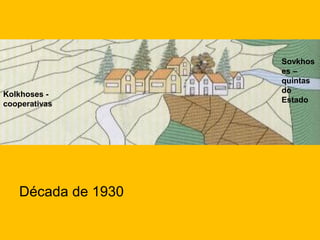 Kolkhoses cooperativas

Década de 1930

Sovkhos
es –
quintas
do
Estado

 