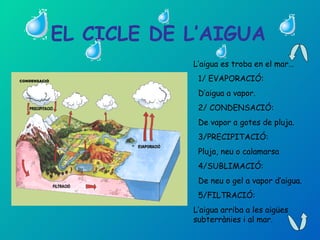 EL CICLE DE L’AIGUA  CONDENSACIÓ L’aigua es troba en el mar… 1/ EVAPORACIÓ:  D’aigua a vapor. 2/ CONDENSACIÓ: De vapor a gotes de pluja. 3/PRECIPITACIÓ: Pluja, neu o calamarsa 4/SUBLIMACIÓ: De neu o gel a vapor d’aigua.  5/FILTRACIÓ: L’aigua arriba a les aigües  subterrànies i al mar. 