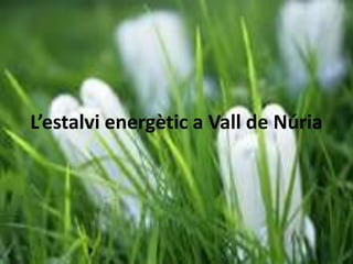 L’estalvi energètic a Vall de Núria
 
