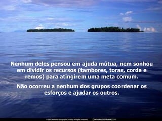 Nenhum deles pensou em ajuda mútua, nem sonhou em dividir os recursos (tambores, toras, corda e remos) para atingirem uma meta comum. Não ocorreu a nenhum dos grupos coordenar os esforços e ajudar os outros. 