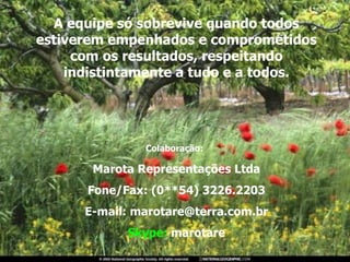 A equipe só sobrevive quando todos estiverem empenhados e comprometidos com os resultados, respeitando indistintamente a tudo e a todos. Colaboração:   Marota Representações Ltda Fone/Fax: (0**54) 3226.2203 E-mail: marotare@terra.com.br Skype:  marotare 