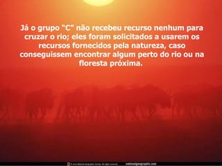 Já o grupo “C” não recebeu recurso nenhum para cruzar o rio; eles foram solicitados a usarem os recursos fornecidos pela natureza, caso conseguissem encontrar algum perto do rio ou na floresta próxima.  