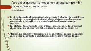 Para saber quienes somos tenemos que comprender
como estamos conectados.
James fowler
 La etología estudia el comportamiento humano. El objetivo de los etólogos
es el estudio de la conducta, instinto y el descubrimiento de las o pautas
que guían la actividad innata o aprendida de las diferentes especies
animales
 Los etólogos han estudiado en los animales aspectos como la agresividad,
el apareamiento, el desarrollo del comportamiento, la vida social, etc.
 “todo el que conoce verdaderamente a los animales es porque es capaz de
comprender plenamente el carácter único del hombre” Konrad Lorenz.
 