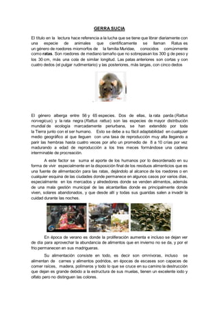 GERRA SUCIA
El título en la lectura hace referencia a la lucha que se tiene que librar diariamente con
una especie de animales que científicamente se llaman Ratus es
un género de roedores miomorfos de la familia Muridae, conocidos comúnmente
como ratas. Son roedores de mediano tamaño que no sobrepasan los 300 g de peso y
los 30 cm, más una cola de similar longitud. Las patas anteriores son cortas y con
cuatro dedos (el pulgar rudimentario) y las posteriores, más largas, con cinco dedos
.
El género alberga entre 56 y 65 especies. Dos de ellas, la rata parda (Rattus
norvegicus) y la rata negra (Rattus rattus) son las especies de mayor distribución
mundial de ecología marcadamente periurbana, se han extendido por toda
la Tierra junto con el ser humano. Esto se debe a su fácil adaptabilidad en cualquier
medio geográfico al que lleguen con una tasa de reproducción muy alta llegando a
parir las hembras hasta cuatro veces por año un promedio de 8 a 10 crías por vez
madurando a edad de reproducción a los tres meces formándose una cadena
interminable de procreación.
A este factor se suma el aporte de los humanos por lo desordenado en su
forma de vivir especialmente en la disposición final de los residuos alimenticios que es
una fuente de alimentación para las ratas, dejándolo al alcance de los roedores o en
cualquier esquina de las ciudades donde permanece en algunos casos por varios días,
especialmente en los mercados y alrededores donde se venden alimentos, además
de una mala gestión municipal de las alcantarillas donde es principalmente donde
viven, solares abandonados, y que desde allí y todas sus guaridas salen a invadir la
cuidad durante las noches.
En época de verano es donde la proliferación aumenta e incluso se dejan ver
de día para aprovechar la abundancia de alimentos que en invierno no se da, y por el
frio permanecen en sus madrigueras.
Su alimentación consiste en todo, es decir son omnívoras, incluso se
alimentan de carnes y alimentos podridos, en épocas de escases son capaces de
comer raíces, madera, polímeros y todo lo que se cruce en su camino la destrucción
que dejan es grande debido a la estructura de sus muelas, tienen un excelente iodo y
olfato pero no distinguen las colores.
 