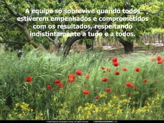 A equipe só sobrevive quando todos estiverem empenhados e comprometidos com os resultados, respeitando indistintamente a tudo e a todos. 