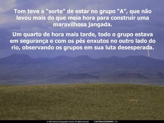 Tom teve a “sorte” de estar no grupo “A”, que não levou mais do que meia hora para construir uma maravilhosa jangada. Um quarto de hora mais tarde, todo o grupo estava em segurança e com os pés enxutos no outro lado do rio, observando os grupos em sua luta desesperada. 