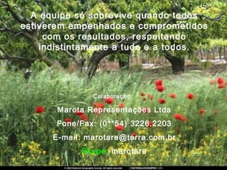 A equipe só sobrevive quando todos
estiverem empenhados e comprometidos
com os resultados, respeitando
indistintamente a tudo e a todos.
Colaboração:
Marota Representações Ltda
Fone/Fax: (0**54) 3226.2203
E-mail: marotare@terra.com.br
Skype: marotare
 