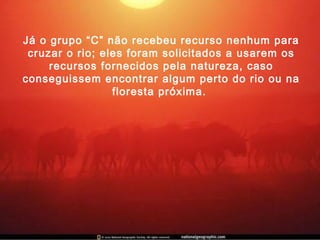 Já o grupo “C” não recebeu recurso nenhum para
cruzar o rio; eles foram solicitados a usarem os
recursos fornecidos pela natureza, caso
conseguissem encontrar algum perto do rio ou na
floresta próxima.
 