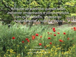 A equipe só sobrevive quando todos estiverem empenhados e comprometidos com os resultados, respeitando indistintamente a tudo e a todos. Colaboração:  Marota Representações Ltda E-mail: marotare@terra.com.br 