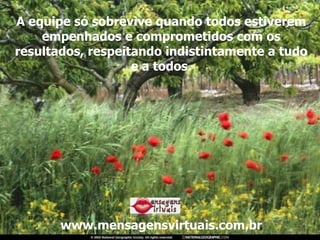 A equipe só sobrevive quando todos estiverem empenhados e comprometidos com os resultados, respeitando indistintamente a tudo e a todos. www.mensagensvirtuais.com.br 