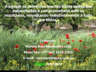 A equipe só sobrevive quando todos estiverem empenhados e comprometidos com os resultados, respeitando indistintamente a tudo e a todos. Colaboração:   Marota Representações Ltda Fone/Fax: (0**54) 3226.2203 E-mail: marotare@terra.com.br Skype:  marotare 