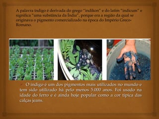 A palavra índigo é derivada do grego “indikon” e do latim “indicum” e
significa “uma substância da Índia”, porque era a região da qual se
originava o pigmento comercializado na época do Império Greco-
Romano.




   O índigo é um dos pigmentos mais utilizados no mundo e
  tem sido utilizado há pelo menos 5.000 anos. Foi usado na
  idade do ferro e é ainda hoje popular como a cor típica das
  calças jeans.
 