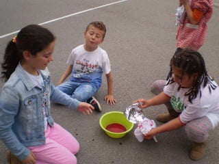 Estampacion camisetas