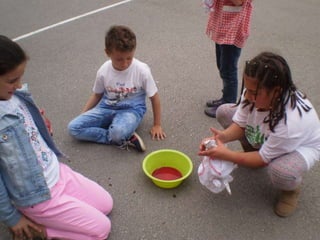 Estampacion camisetas