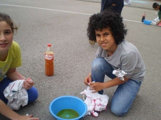 Estampacion camisetas