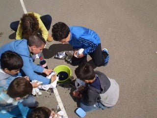 Estampacion camisetas