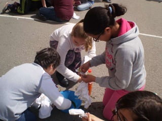 Estampacion camisetas