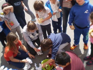 Estampacion camisetas