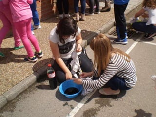 Estampacion camisetas