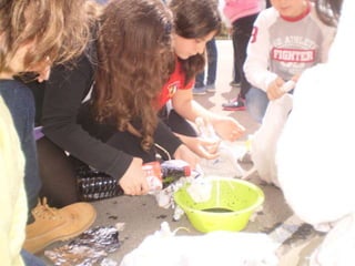 Estampacion camisetas