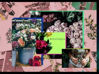 Estamparia Digital | Inverno 2018 MARLES