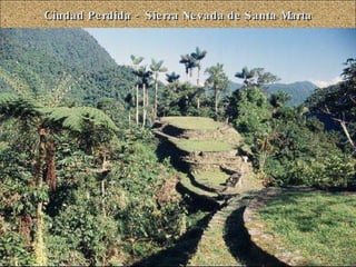 Ciudad Perdida -  Sierra Nevada de Santa Marta 