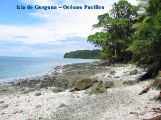 Isla de Gorgona – Océano Pacífico 