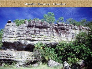 Murallas Rocosas - Guaviare 