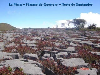 La Mesa – Páramo de Guerrero – Norte de Santander 