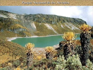 Parque Nacional de los Nevados 
