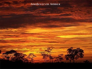 Atardecer en Arauca 