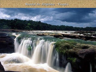 Raudal de Jirijirimo - Vaupés 
