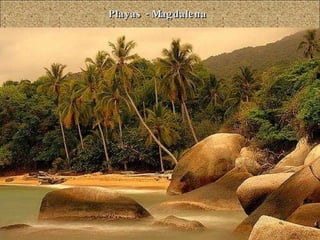 Playas - Magdalena 