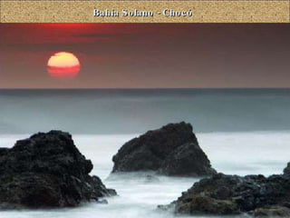 Bahía Solano - Chocó 