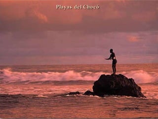 Playas del Chocó 