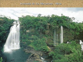 Serranía de La Macarena - Meta 