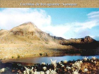Cuchillas de Bocagrande - Sumapaz 