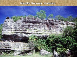 Murallas Rocosas - Guaviare 