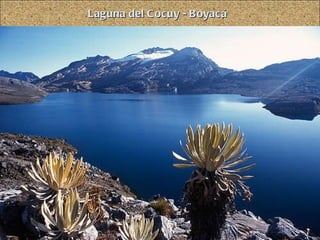 Laguna del Cocuy - Boyacá 