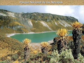 Parque Nacional de los Nevados 
