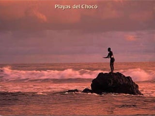 Playas del Chocó 