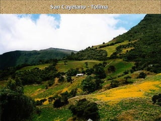 San Cayetano - Tolima 