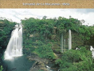 Serranía de La Macarena - Meta 