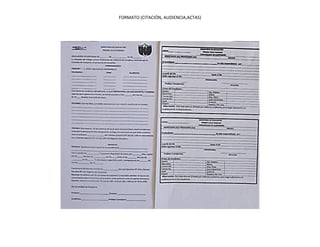 FORMATO (CITACIÓN, AUDIENCIA,ACTAS)
 