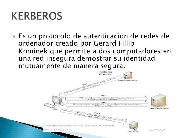 Estandar de red Estandar de red