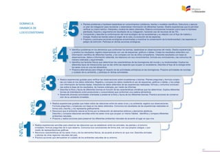 NIVEL

DOMINIO B.
DINÁMICA DE

NIVEL

NIVEL

NIVEL

NIVEL

LOS ECOSISTEMAS

• Plantea problemas e hipótesis basándose en conocimientos cotidianos, teorías o modelos científicos. Estructura y ejecuta
un plan de indagación para recolectar y sistematizar información de diferentes fuentes. Diseña experiencias que le permitan
verificar su marco teórico. Interpreta y evalúa los datos obtenidos. Elabora conclusiones tomando como base la hipótesis
planteada. Expone y argumenta los resultados de su indagación, haciendo uso de recursos de las TIC.
• Comprende y describe la conformación del nivel ecológico de los ecosistemas y su relación con el flujo de materia y
energía. Analiza las teorías sobre el origen de la vida y la evolución de las especies.
• Propone y promueve acciones ecológicas encaminadas a incentivar la conservación de la biodiversidad y las especies en
peligro de extinción. Participa en dichas acciones ecológicas.

• Identifica problemas en los elementos que conforman los biomas, basándose en observaciones del medio. Diseña experiencias
y predice los resultados; registra observaciones con uso de esquemas, gráficos o tablas. Coteja los resultados obtenidos con
información científica de diferentes fuentes, y los compara con los de otros compañeros. Interpreta resultados con base en
observaciones, datos e información obtenida, los relaciona con sus conocimientos, formula sus conclusiones y las comunica de
manera ordenada y argumentada.
• Identifica los factores físicos que determinan las características de las biorregiones del mundo y su biodiversidad. Explica los
diferentes tipos de interacciones que se dan entre las especies que ocupan un ecosistema. Describe el flujo de la energía entre
los seres vivos en una red alimenticia.
• Propone alternativas para mitigar el impacto de las actividades antrópicas en las biorregiones. Propone actividades de reciclaje
y cuidado de su ambiente, y participa en dichas actividades.
•	 Realiza experiencias guiadas para verificar las observaciones sobre ecosistemas o biomas. Plantea preguntas y formula conjeturas con base en los datos obtenidos. Registra y compara los datos mediante el uso de esquemas, gráficos o tablas, y los coteja
con información de fuentes dadas. Interpreta los datos obtenidos de las experiencias realizadas; formula y comunica conclusiones sobre la base de los resultados, de manera ordenada, por medio de informes.
• Describe la flora y fauna de diferentes biomas en función de las características climáticas que los determinan. Explica diferentes
formas de interrelación entre productores y consumidores que conforman una cadena alimenticia.
• Desarrolla diversas actividades orientadas a preservar la flora y fauna de los diferentes biomas. Practica acciones de conservación de su ambiente inmediato.

•	 Realiza experiencias guiadas que tratan sobre las relaciones entre los seres vivos y su ambiente; registra sus observaciones.
Formula preguntas y conjeturas con base en los datos obtenidos. Comunica los resultados de las experiencias realizadas en
forma oral y escrita, y los representa gráficamente.
•	 Reconoce que el ambiente natural se forma por la interacción de elementos bióticos y elementos abióticos.
Describe y compara relaciones sencillas entre los seres vivos que ocupan un mismo hábitat. Identifica y compara diferentes
ambientes naturales.
• 	Propone y realiza acciones para preservar los diferentes ambientes naturales de acuerdo al lugar en que vive.

•	 Realiza experiencias sencillas para observar las relaciones que se establecen entre los animales, las plantas y el entorno
inmediato; formula preguntas de lo que observa. Comunica sus conclusiones de forma oral, con sus propios códigos, o por
medio de representaciones gráficas.
•	 Reconoce características de los seres vivos y de los elementos físicos, de acuerdo al entorno en que vive. Describe animales
y plantas de otras regiones naturales del país.
•	 Practica acciones que demuestran el cuidado de los ambientes naturales de su entorno.

41

 